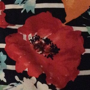 Meet your Posher, Minerva